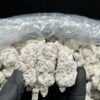 Luminate Snow Caps Weed