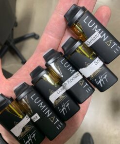 Luminate 2g Disposable Vape