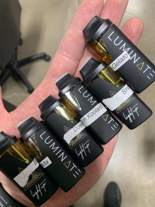 Luminate 2g Disposable Vape