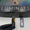 Luminate 2g Disposable Vape